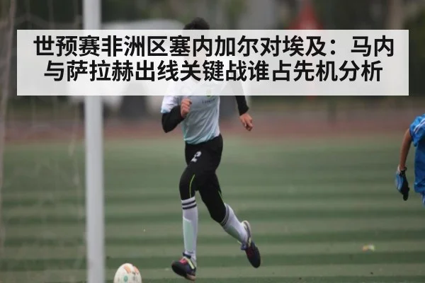 世预赛非洲区塞内加尔对埃及：马内与萨拉赫出线关键战谁占先机分析