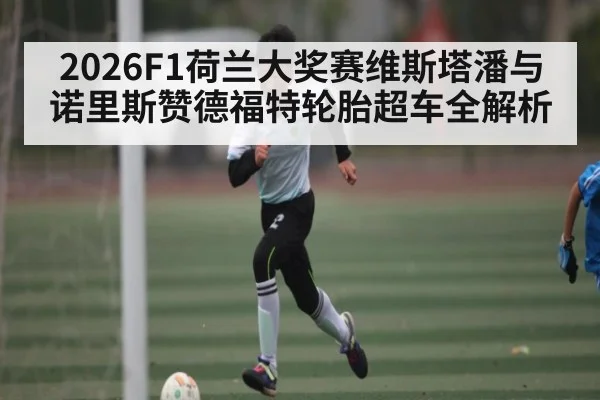2026F1荷兰大奖赛维斯塔潘与诺里斯赞德福特轮胎超车全解析